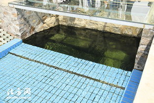 天津寶坻區第一污水處理廠 MBR膜工藝驅動提標擴建，構筑土壤污染治理新防線